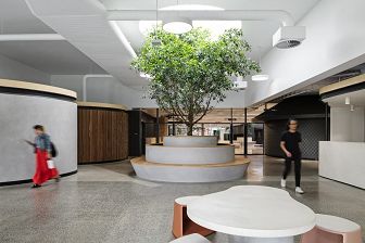 A tree sits in the centre of a contemporary foyer reception area while people walk past.
