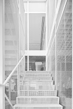 Image looks up a mesh clad stairwell.