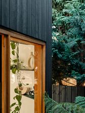 An external image of a timber window with black charred timber cladding surrounding, and ferns.