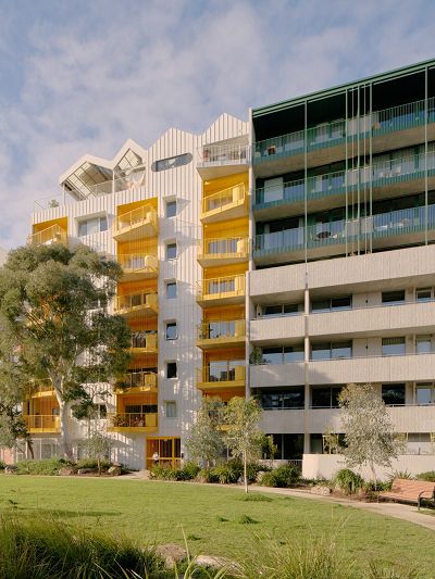 Two seven-storey apartment buildings overlooking a park with one tall gum tree to the left. One building is crisp white with geometric balconies picked out in bright yellow. The other building has four lower stories with balconies enclosed in textured concrete, while the upper levels have deep green metal balustrades