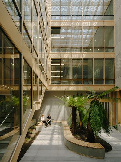 A light filled internal atrium lined by wood panel walls and windows. Two people sit on curved bench seating next to garden beds containing shrubs and ferns.