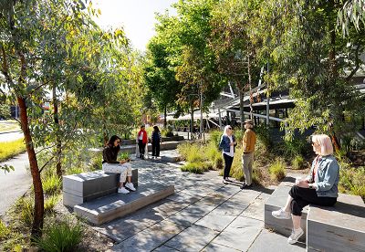 Immersive plantings provide gathering spaces.
